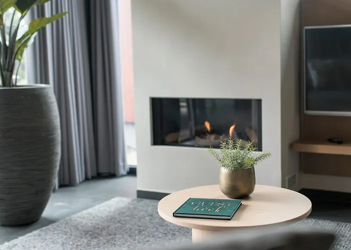 Neuastenberg Alexander 4 Willa Winterberg